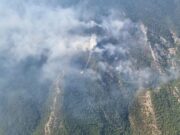 KAZ DAĞLARI’NDA YANGIN