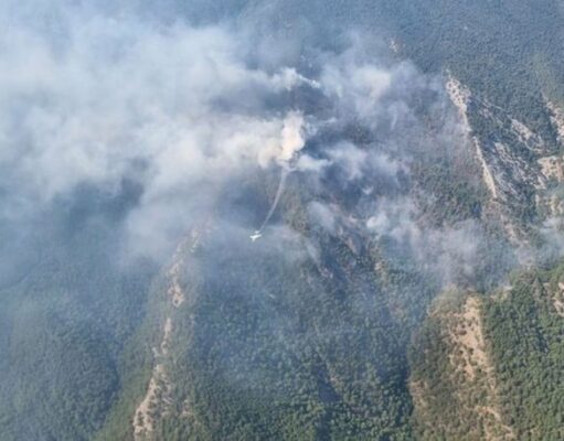 KAZ DAĞLARI’NDA YANGIN