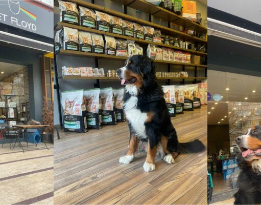 ALEX ARTIK BİR REKLAM YILDIZI